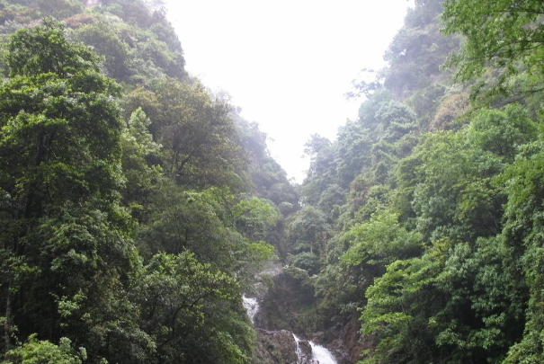 郴州必去景点排名-郴州必玩十大景区-郴州哪些景点必去