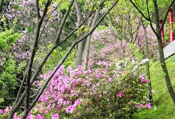 永州周边自驾游攻略排行榜-永州周边自驾游景点排名-永州周边自驾游去哪里玩