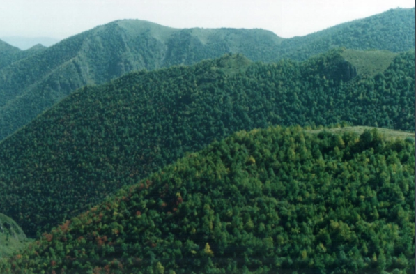 怀化芷江旅游攻略-怀化芷江旅游景点大全介绍-怀化芷江旅游景点有哪些