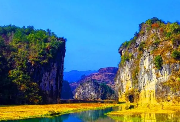 娄底看花的地方-娄底赏花旅游景点介绍-娄底看花哪里好看