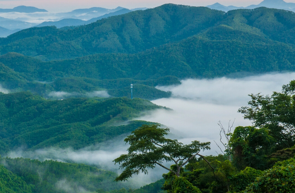 海南最高的三大高山-海南最高的三大高山-海南最高的高山在哪里