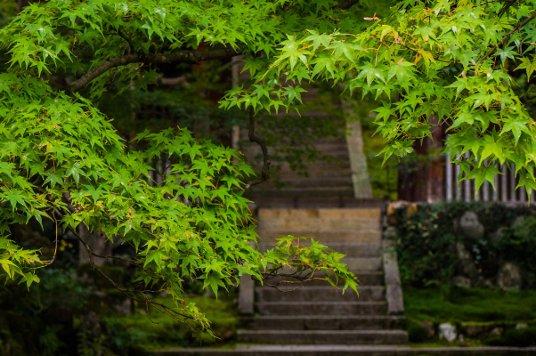 福安佛教寺庙-福安三大名寺-福安有哪些寺庙比较出名