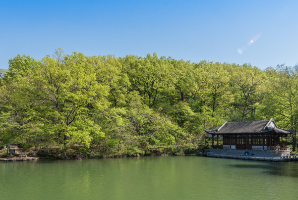 滁州市8个区县经济排名-滁州市各区县GDP排名-滁州市gdp最高的区排名