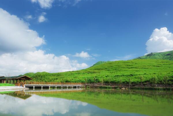 宁德九个区县经济排名-宁德市各区县GDP排行榜-宁德GDP最高的区县排名